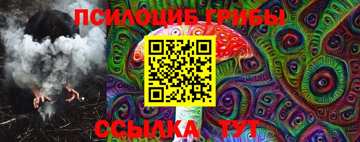 Псилоцибиновые грибы GOLDEN TEACHER  наркошоп  Рубцовск  Вход с VPN 